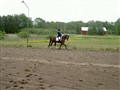 6 juni -09 023.jpg