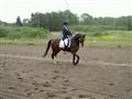 6 juni -09 028.jpg