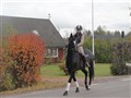 DSC00733.JPG