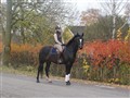 DSC00741.JPG