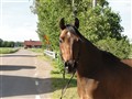 DSC01572.JPG