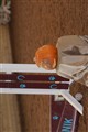 IMG_0604.JPG