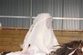 IMG_0683.JPG