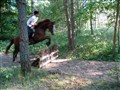 Polly i mantorp.jpg