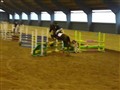 Polly tävlar 004_0001.jpg