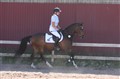 Ponnon 063.jpg